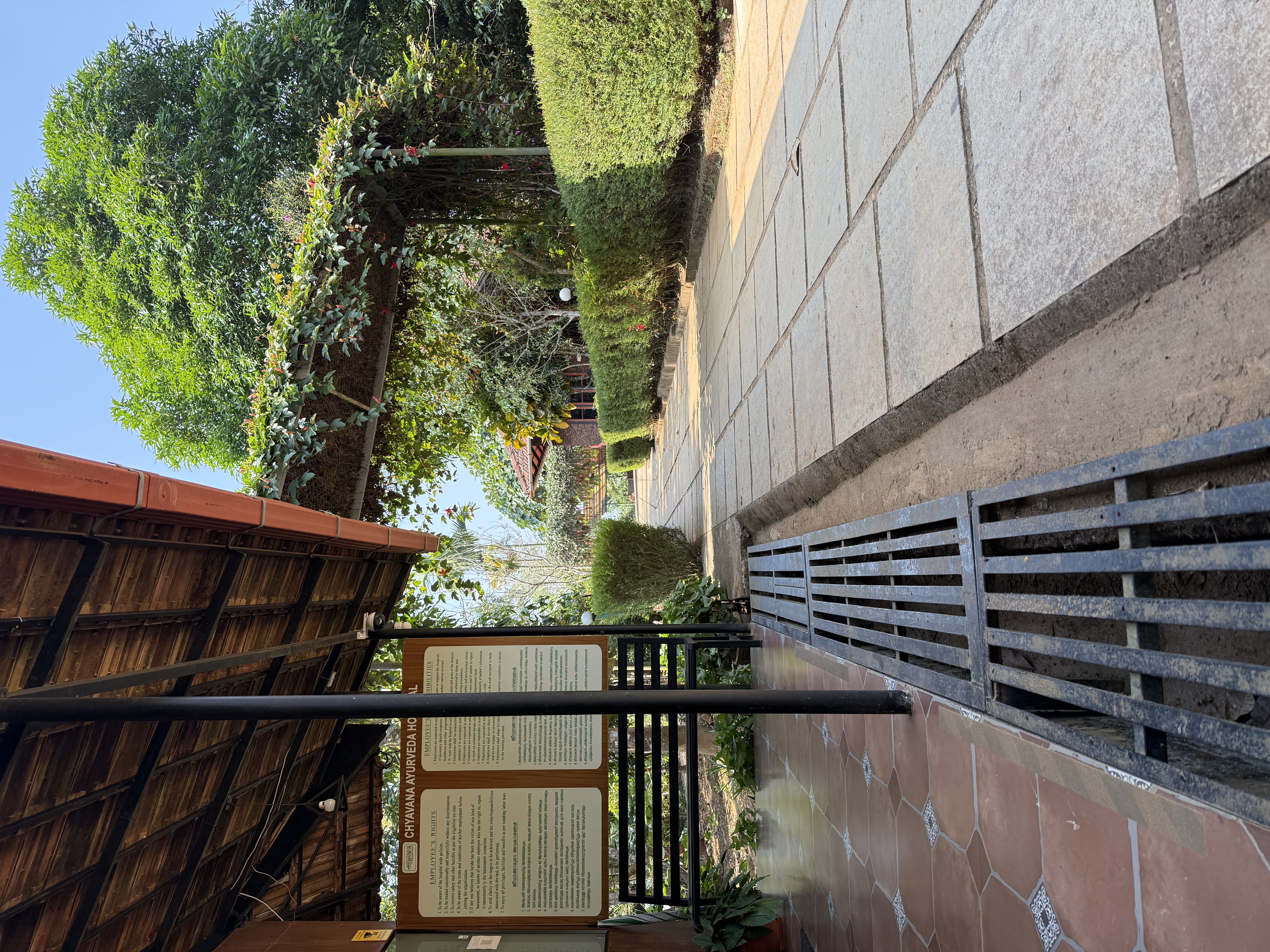 Why Wayanad is Perfect for Ayurveda Healing